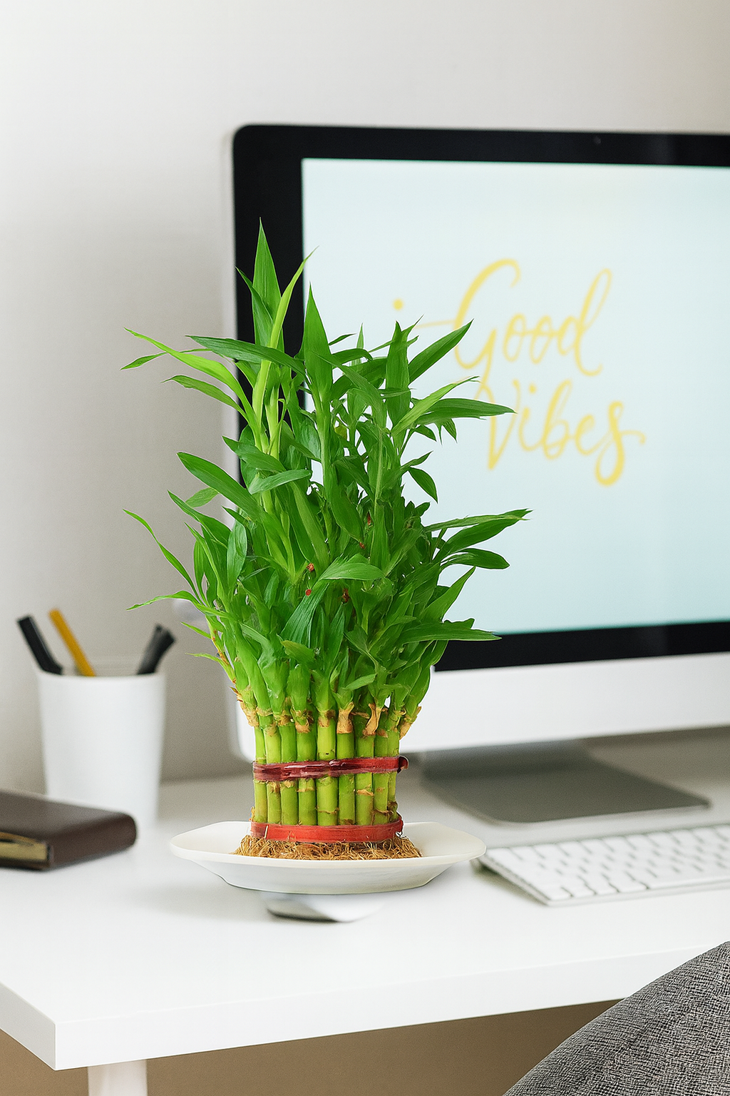 Bamboo Plant-3 Layer with Pot - Image 2