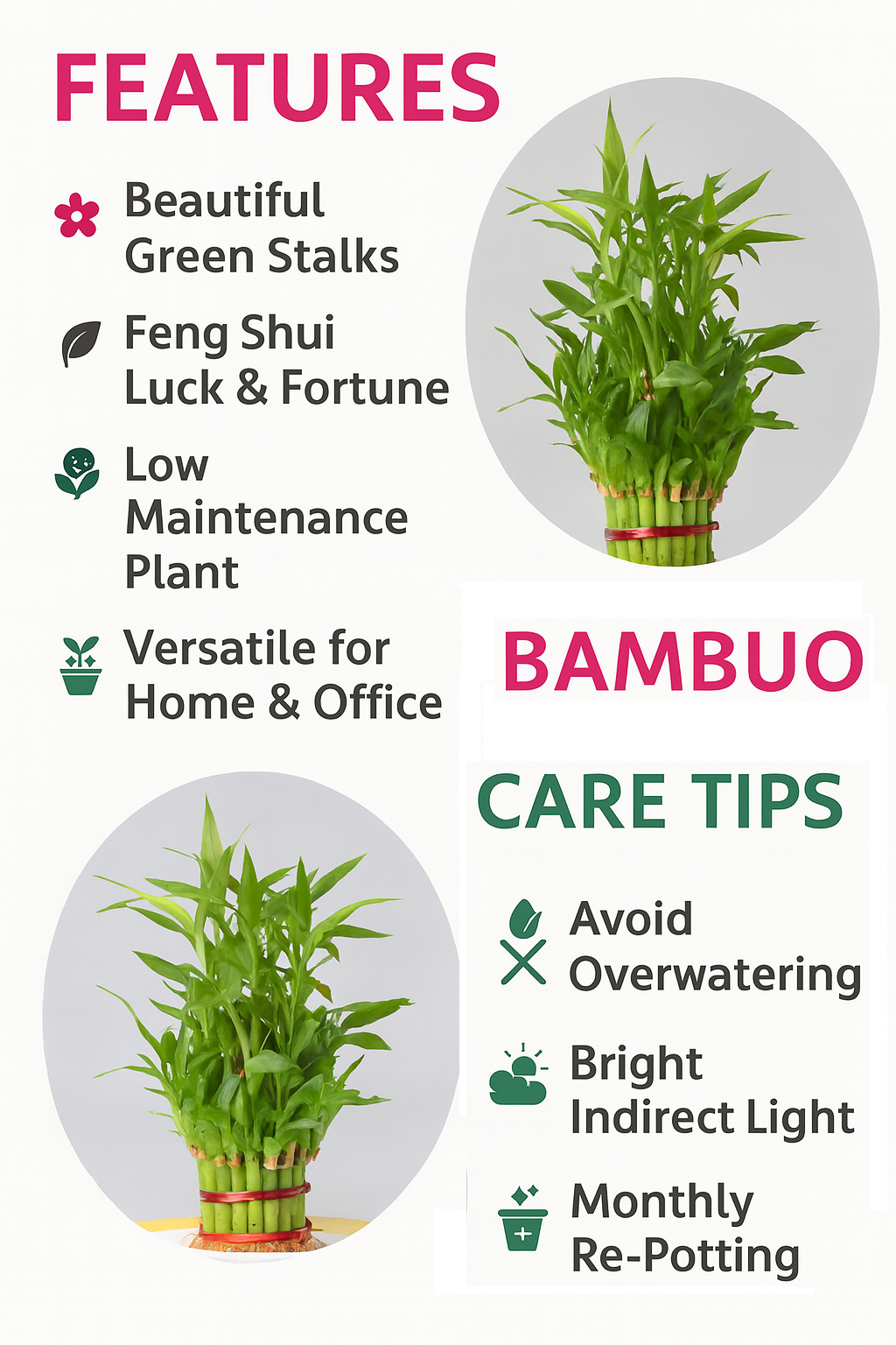 Bamboo Plant-3 Layer with Pot - Image 4