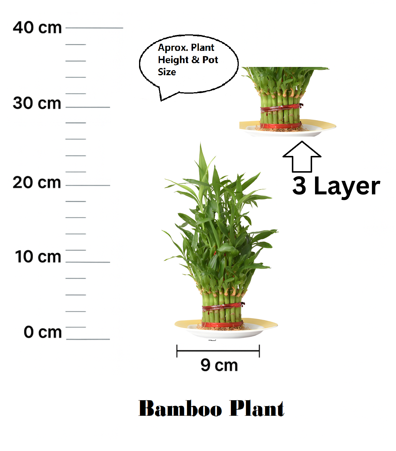 Bamboo Plant-3 Layer with Pot - Image 6