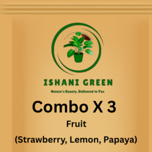 Combo of 3 Fruit Seed