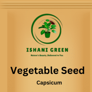 Indian Vegetable Seed - Capsicum