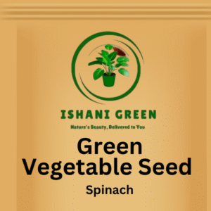 Green Vegetable Seed - Spinach