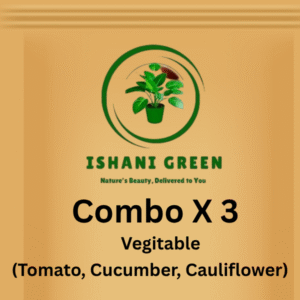 Combo of 3 Vegetable Seed