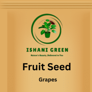 Hybrid Fruit Seed - Grapes
