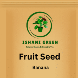 Hybrid Fruit Seed - Banana
