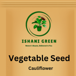 Indian Vegetable Seed - Cauliflower