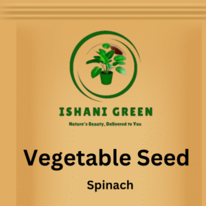 Indian Vegetable Seed - Spinach