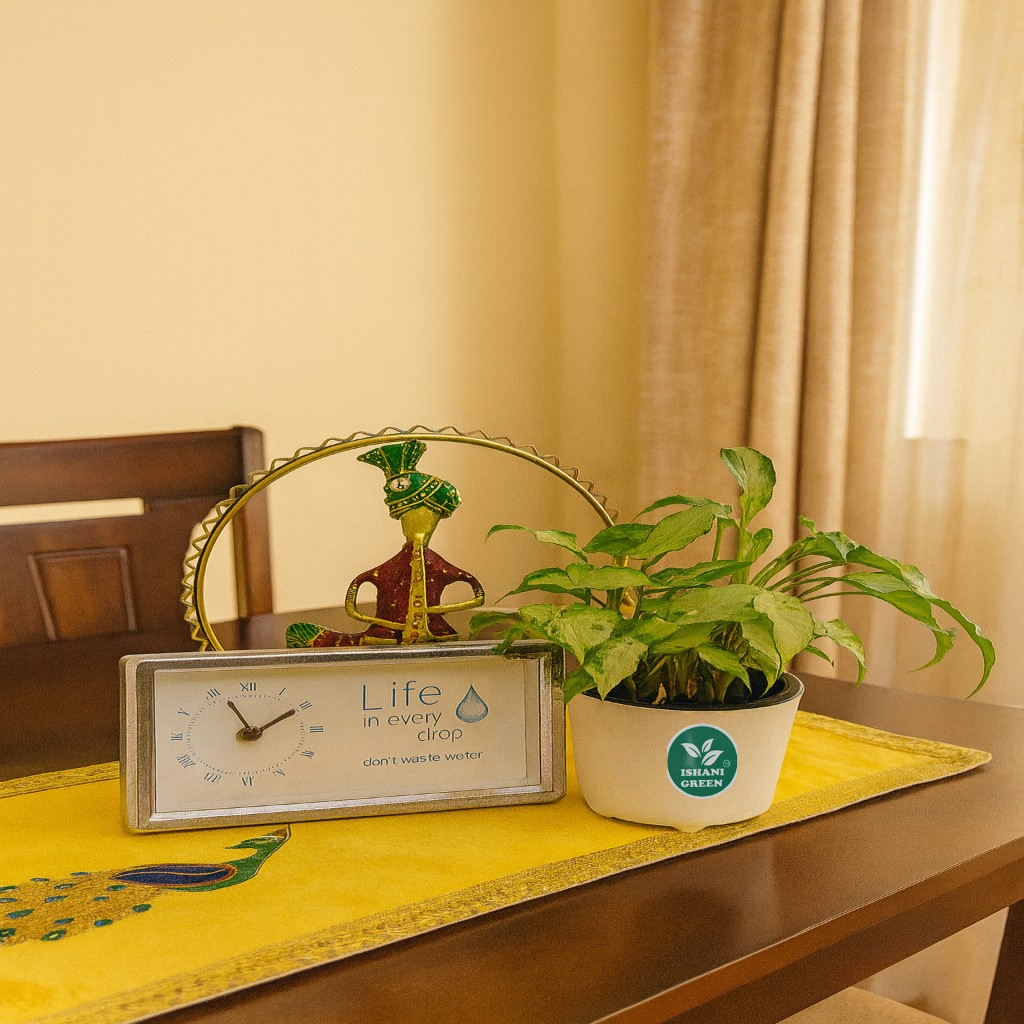 Arrowhead Plant (Syngonium)-Small - Image 2